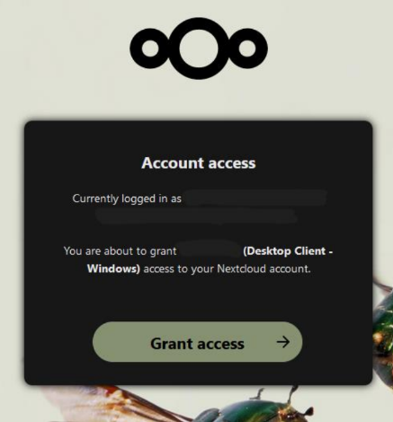 First tab in the Nextcloud-Client installation