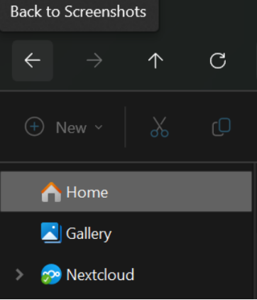 First tab in the Nextcloud-Client installation